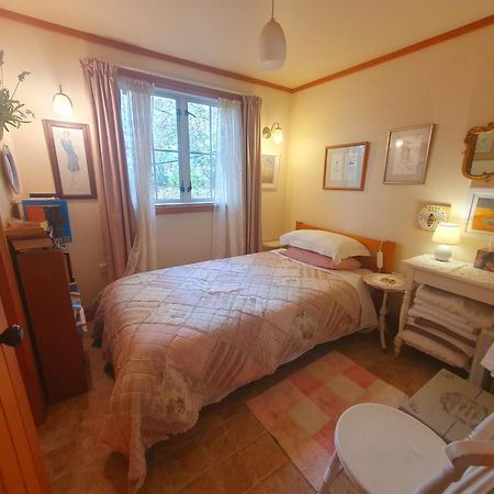Bumblebee Cottage Грейтаун Экстерьер фото